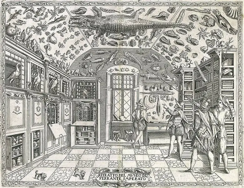 1599, the earliest illustration of a natural history cabinet