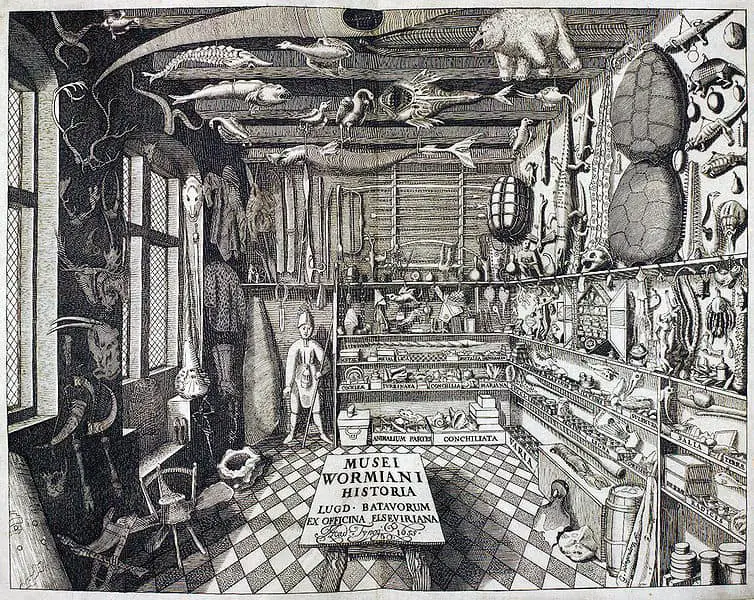 1655 engraving of Ole Worm's cabinet of curiosities.