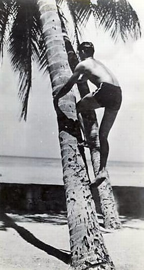 vintage swimwear