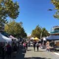 Wells Street Market 003