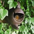 bird in teapot 2