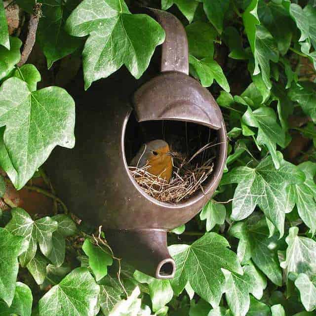 bird in teapot 2