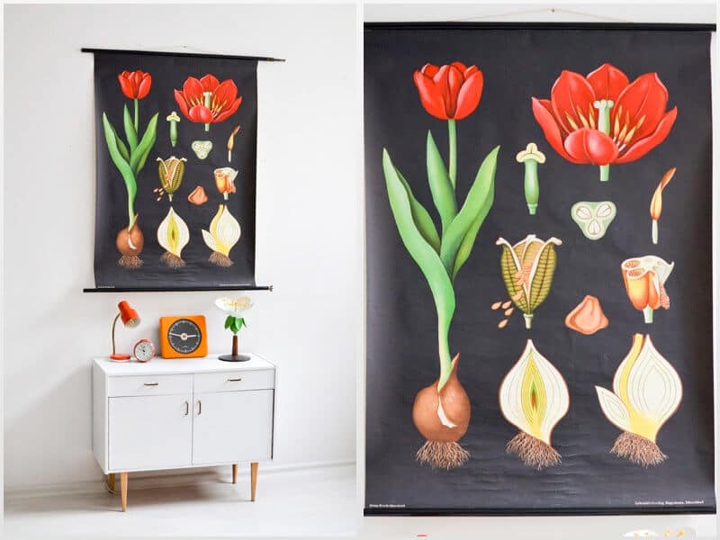 Vintage charts & prints © Mighty Vintage Etsy (Image courtesy of Mighty Vintage)