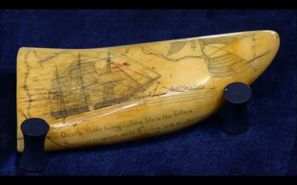 Scrimshaw Tooth © Antiques Roadshow